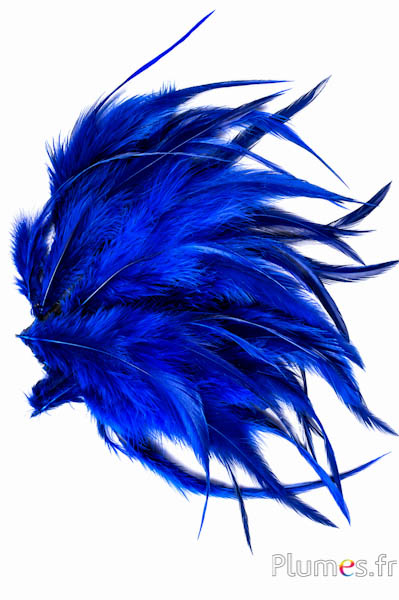 Gallo - 15-18 cm - blu caffè